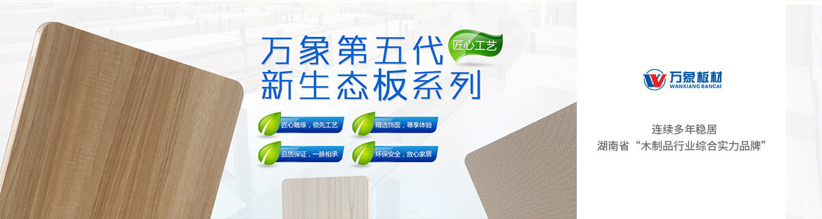 益阳千思装饰防水涂料采用进口瑞士西卡